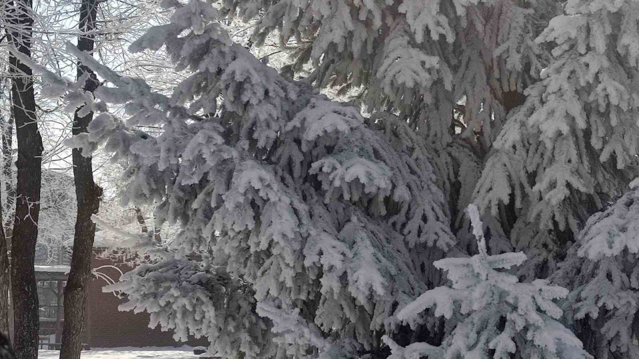 Göle’de hava eksi 27,7 derece: Araçlar soğuktan çalışmadı