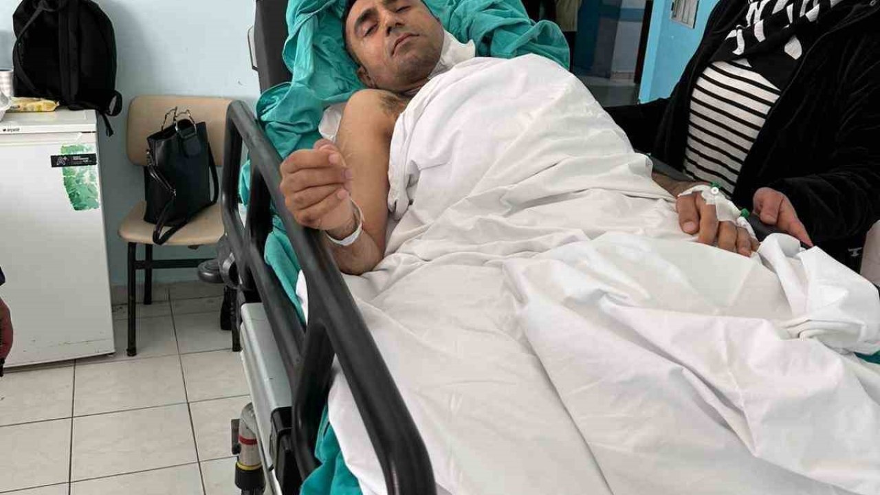 Dünya şampiyonu kick bokscu cami görevlisini böyle dövdü