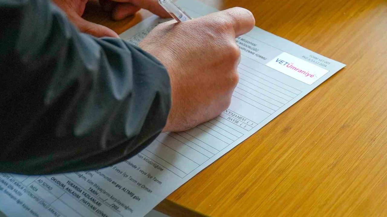 Ümraniye Belediyesi, hayvan sahiplenmede rehberiniz oluyor