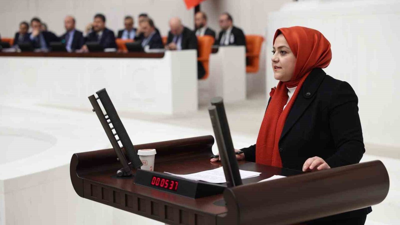 Milletvekili Ün: "Atanmış kişilere bu derece yetki tanınması siyasi suistimallere neden olabilir"
