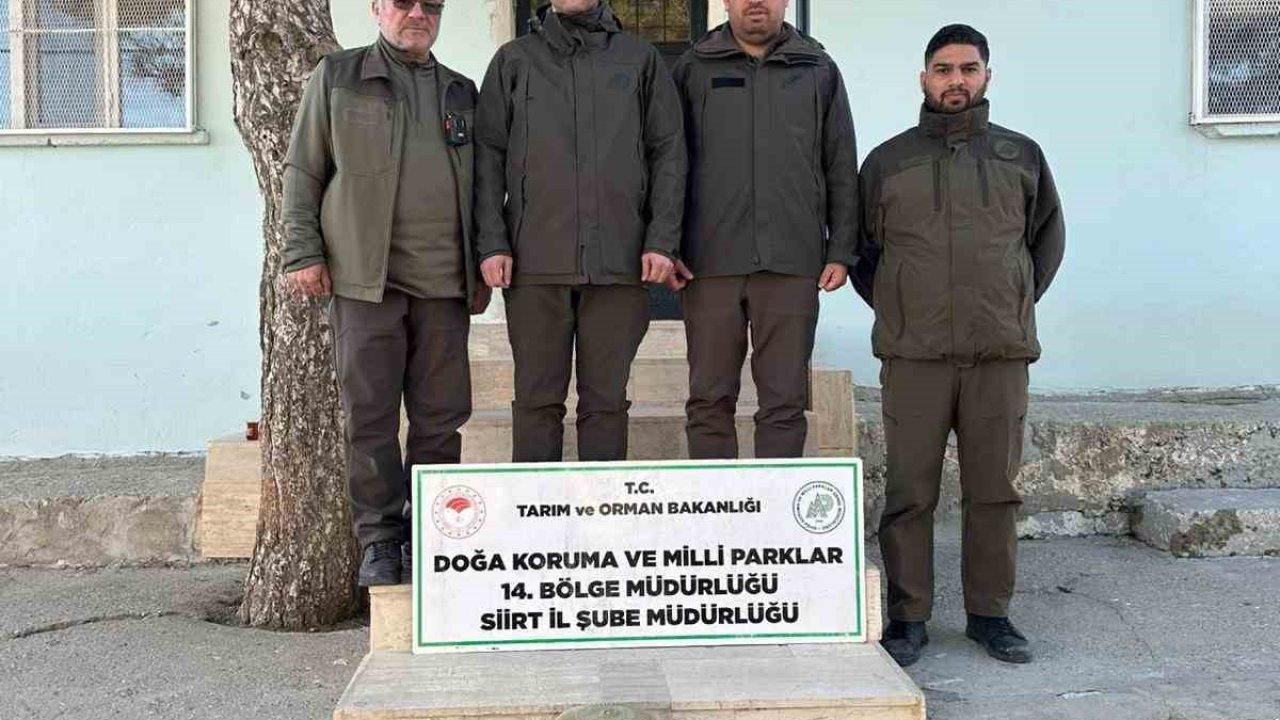 Siirt’te kaçak avlanan keklikler doğaya bırakıldı