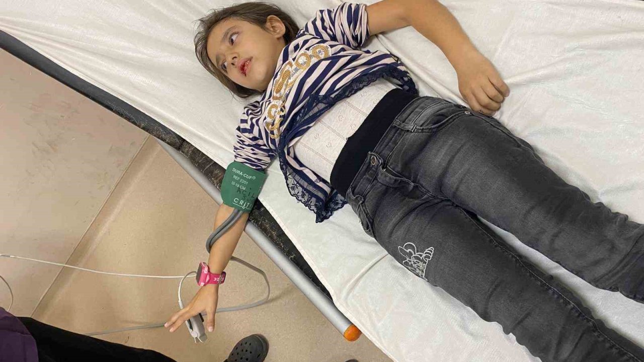 Müdür Yardımcısının bahçede beslediği köpekler 9 yaşındaki öğrenciyi ısırdı