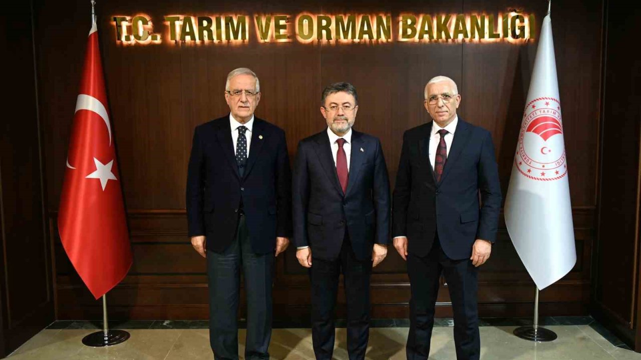 Marmarabirlik Yönetim Kurulu Başkanı Hidamet Asa: