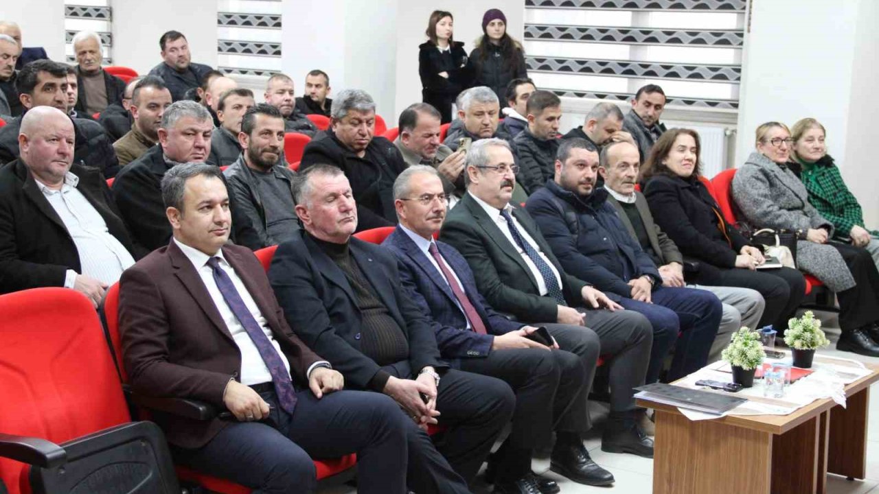 Çarşamba Ovası’nda kokarca alarmı