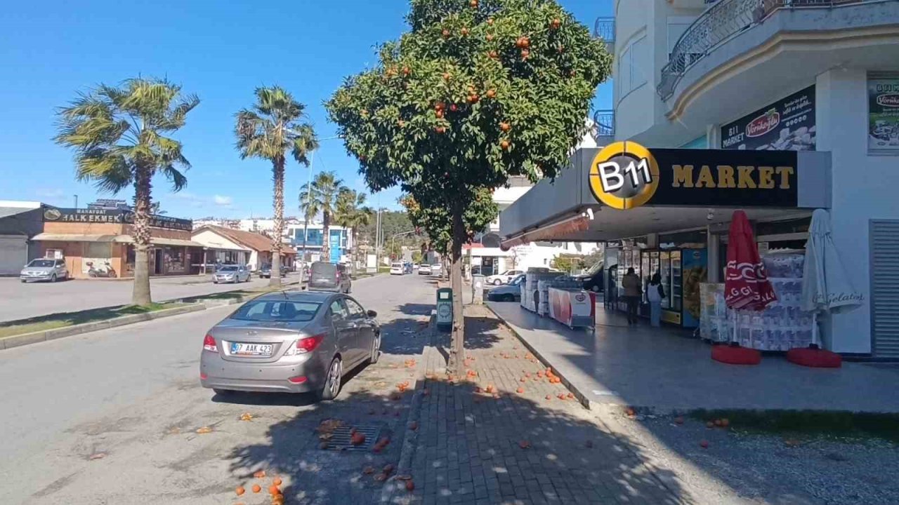 Antalya’da şiddetli fırtına turunçları dallarından koparıp yola savurdu