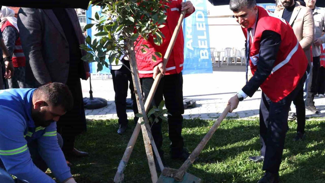 Akdeniz Belediyesi, depremde hayatını kaybedenler anısına fidan dikti