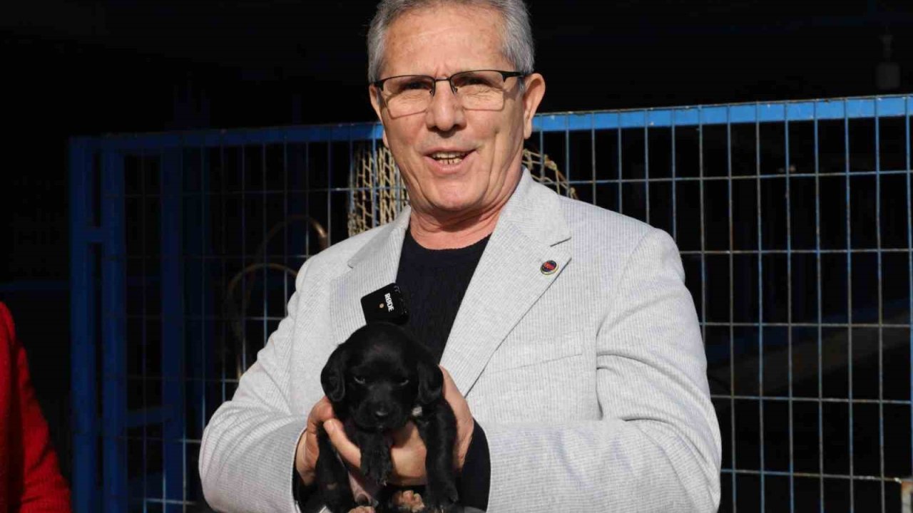 Nazilli Belediyesi’nden sokak hayvanları için sahiplendirme kampanyası