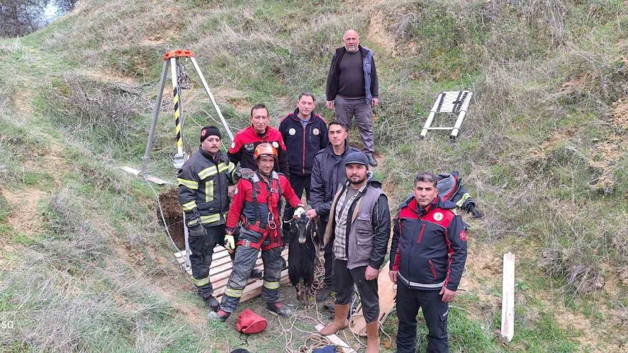 Kuyuya düşen keçi için itfaiyeciler seferber oldu