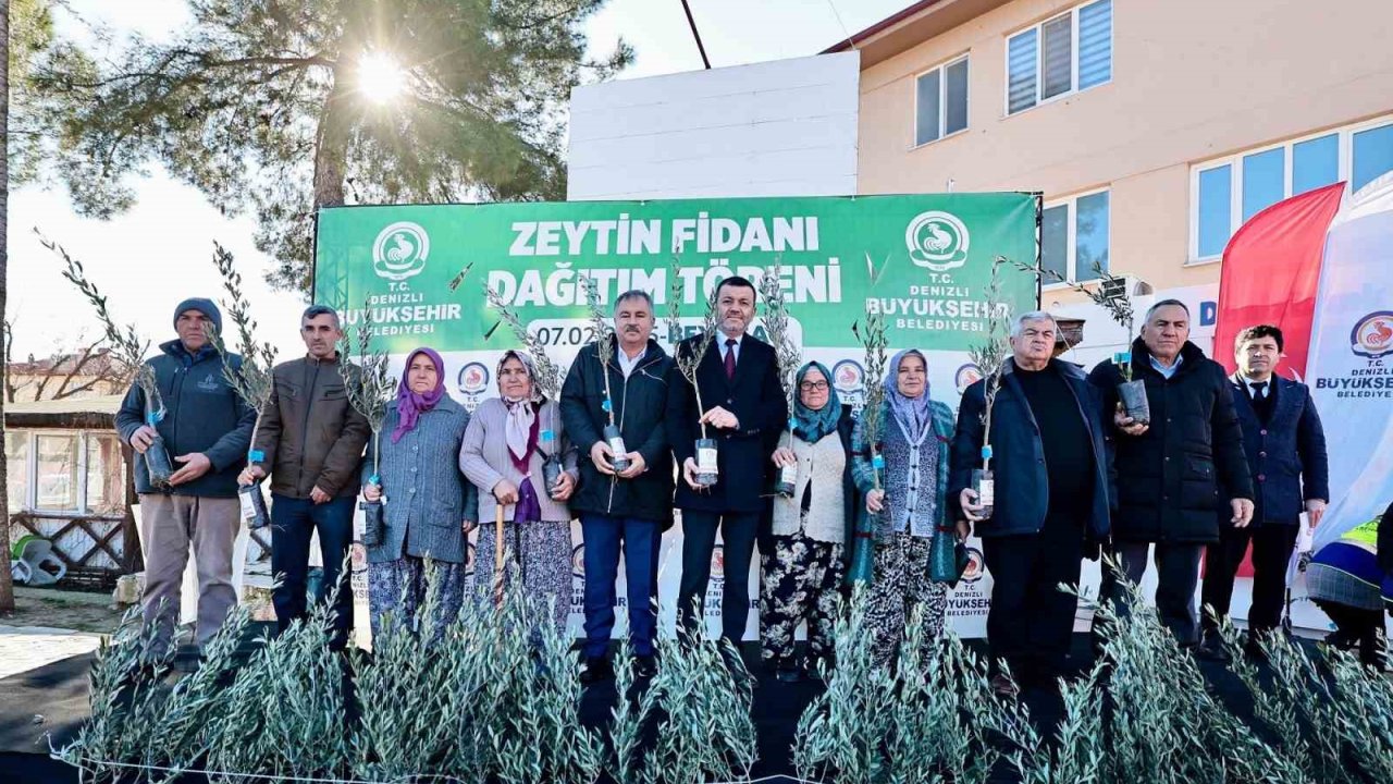 Zeytin fidanları toprakla buluşuyor, Denizli kazanıyor