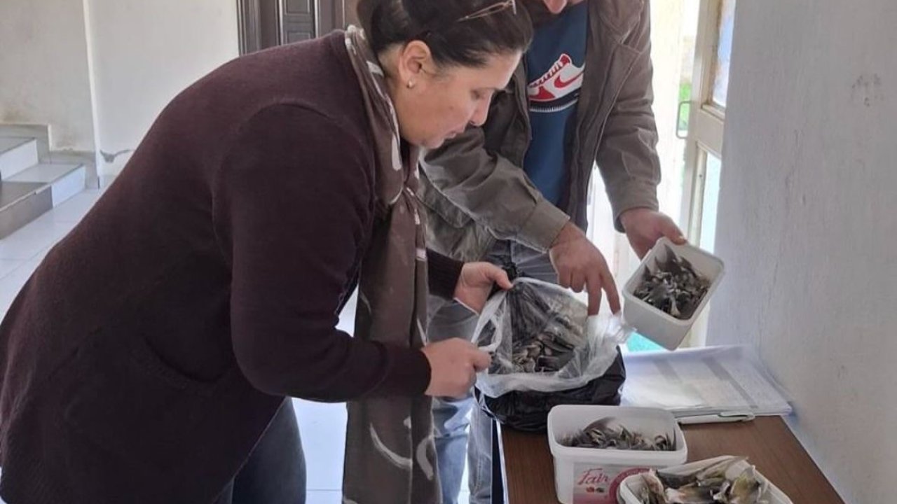 Balon balığıyla mücadele kapsamında balıkçılara bilgilendirme yapıldı