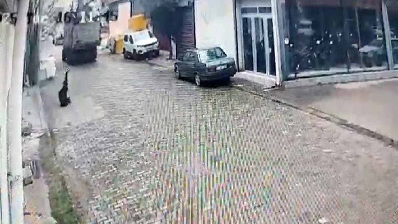 Aydın’da ilginç kaza