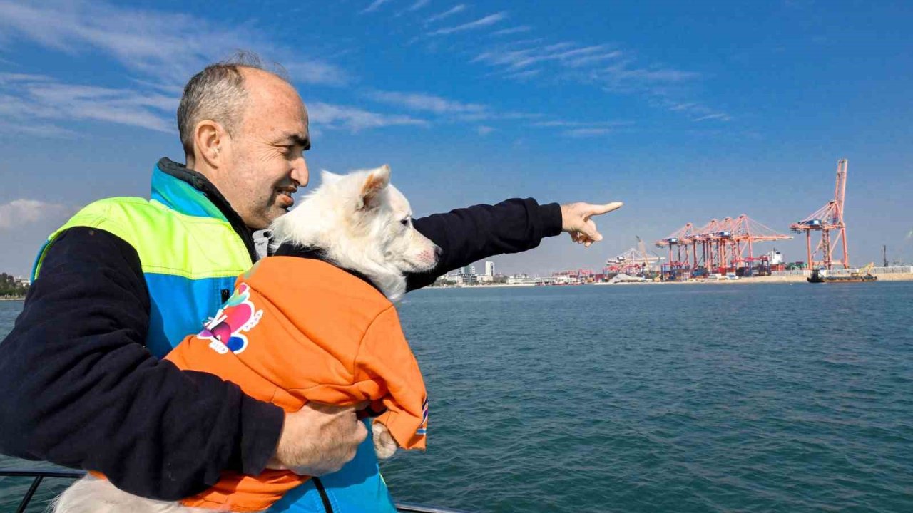 ’Köpük’, belediye personeliyle birlikte deniz kirliliğine karşı mücadele ediyor