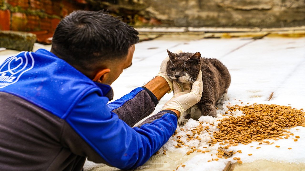 Gaziosmanpaşa Belediyesi’nden sokak hayvanları için mama desteği