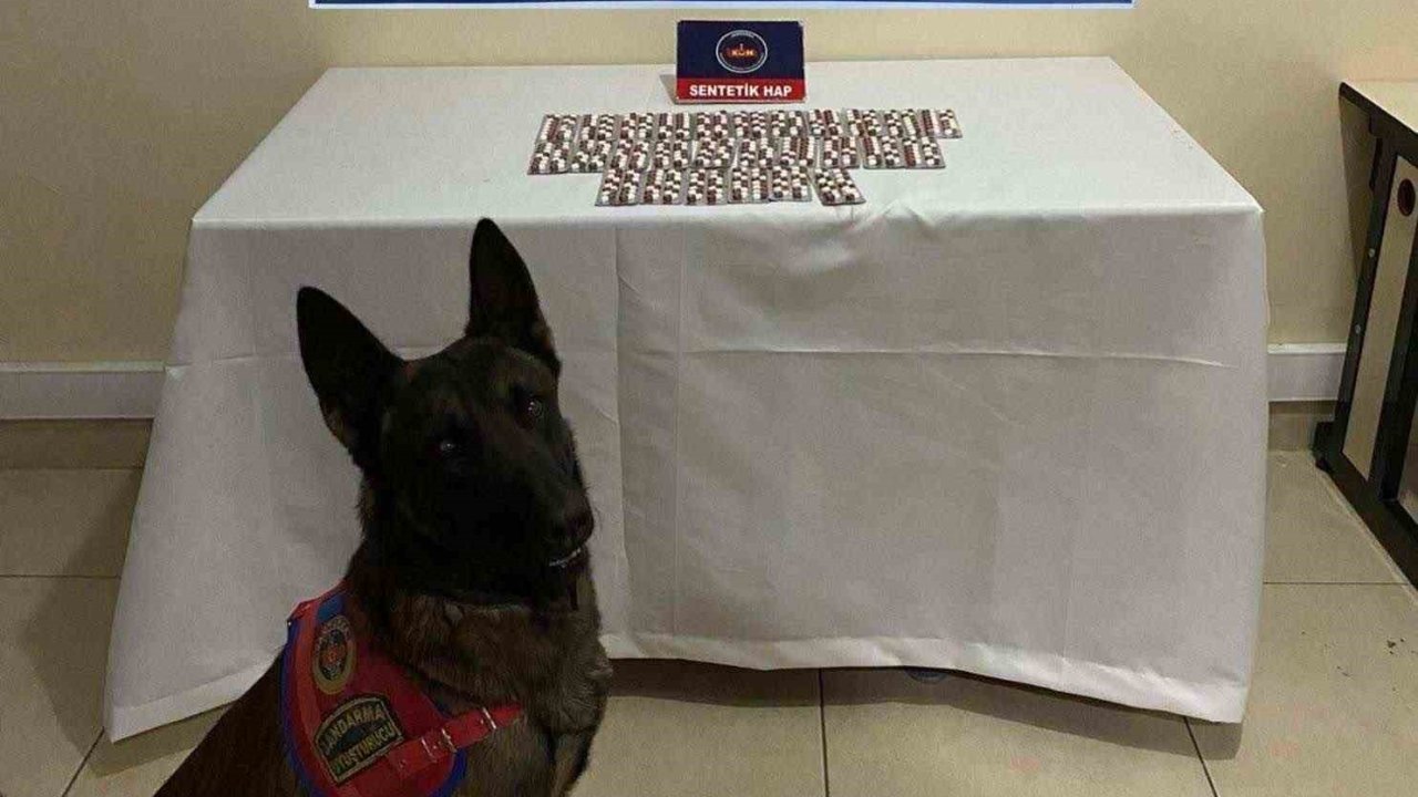 Çankırı’da aranan 116 şahıs yakalandı