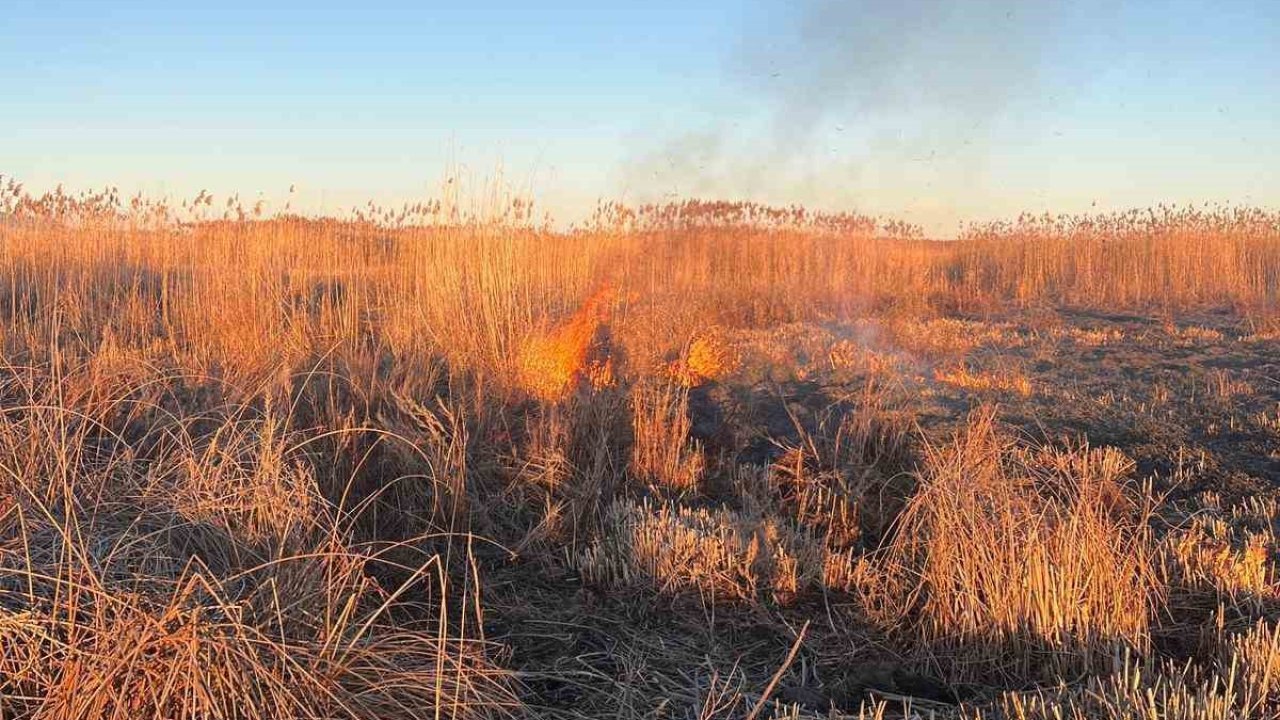 Eber Gölü’nü yakmaya çalışan 5 kişiye yaklaşık 3 milyon TL para cezası kesildi