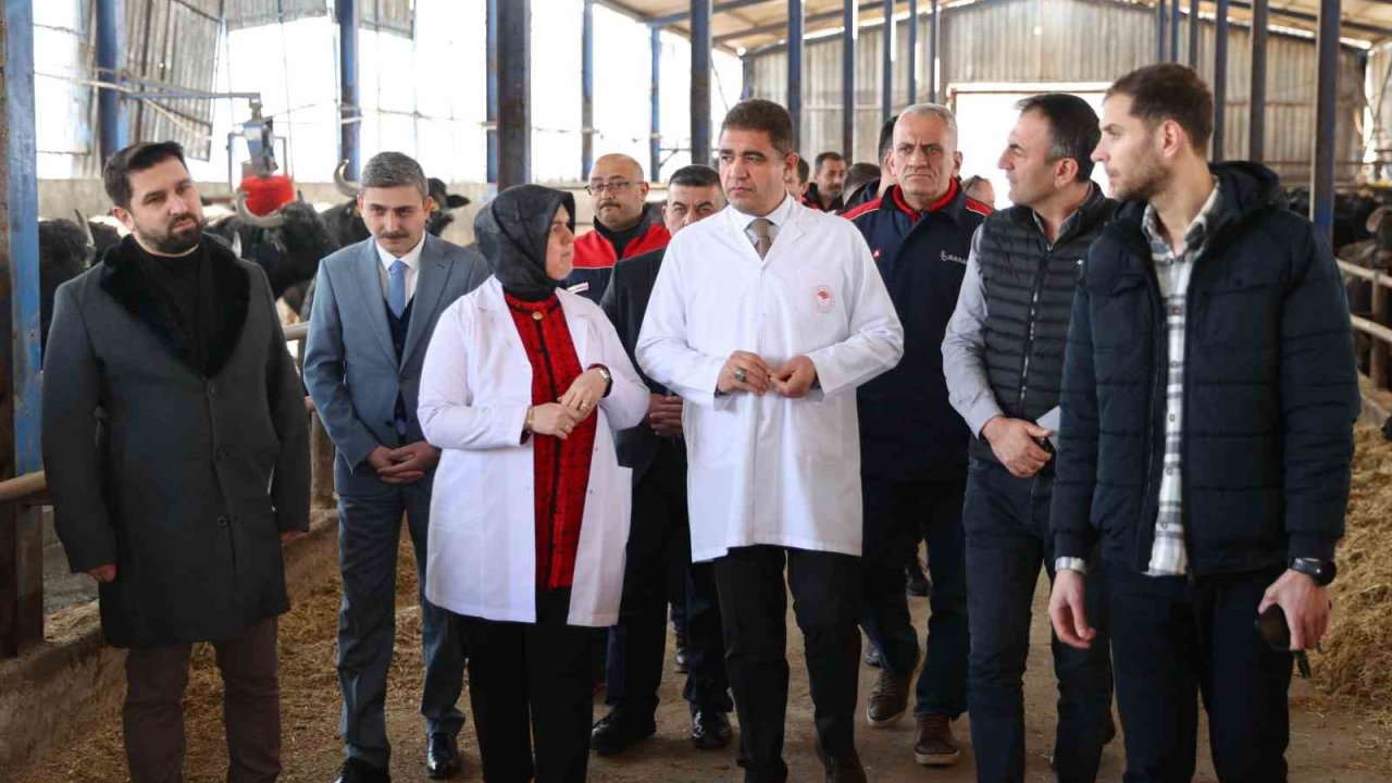 Hedef hayvan varlığını arttırmak