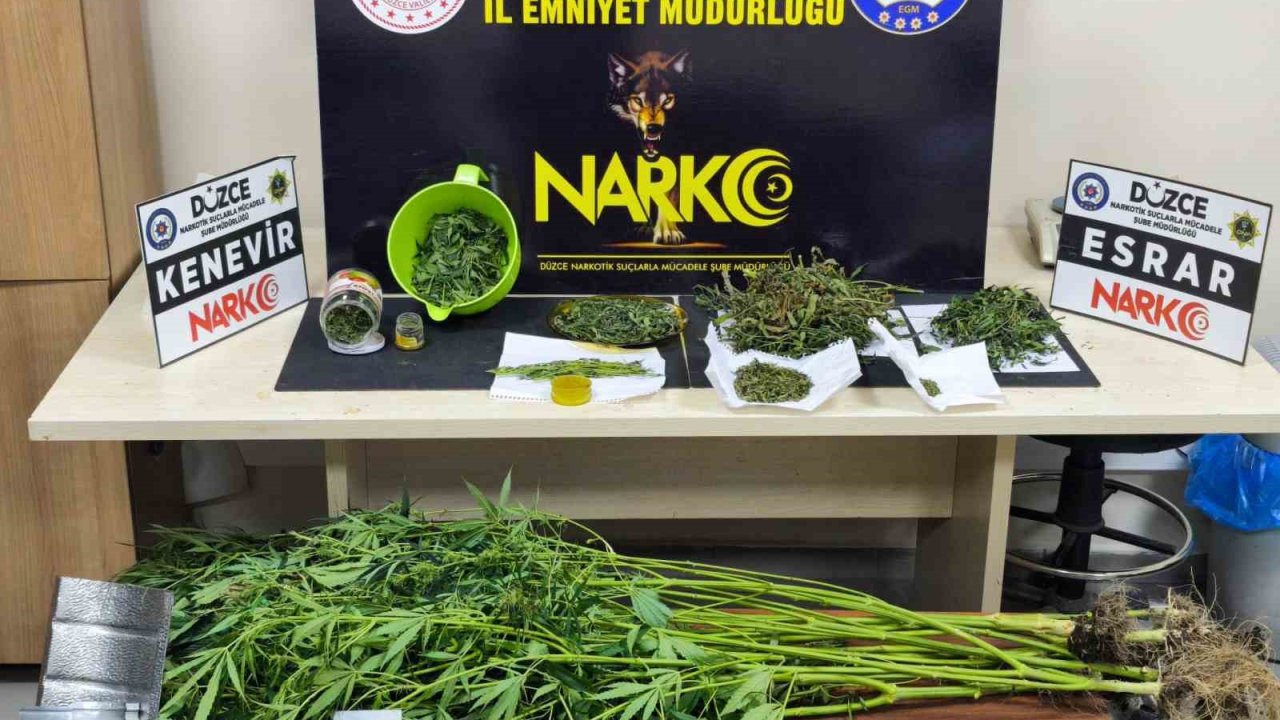 Düzce polisinden uyuşturucu baskını