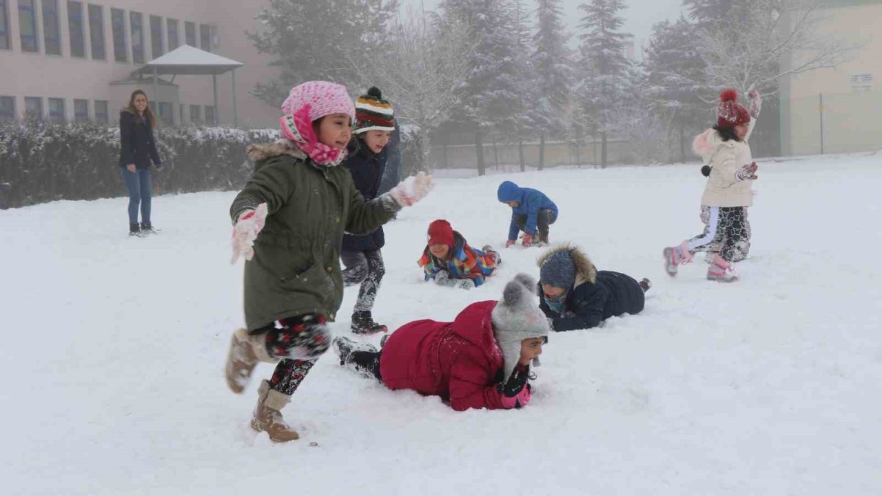 Erzincan’ın Refahiye ve Çayırlı ilçelerinde kar tatili