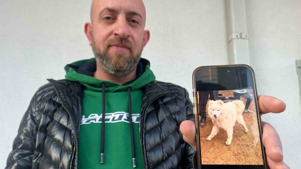 Köpeğini bulana 50 bin TL vereceğini duyuran adamın peşini dolandırıcılar bırakmıyor