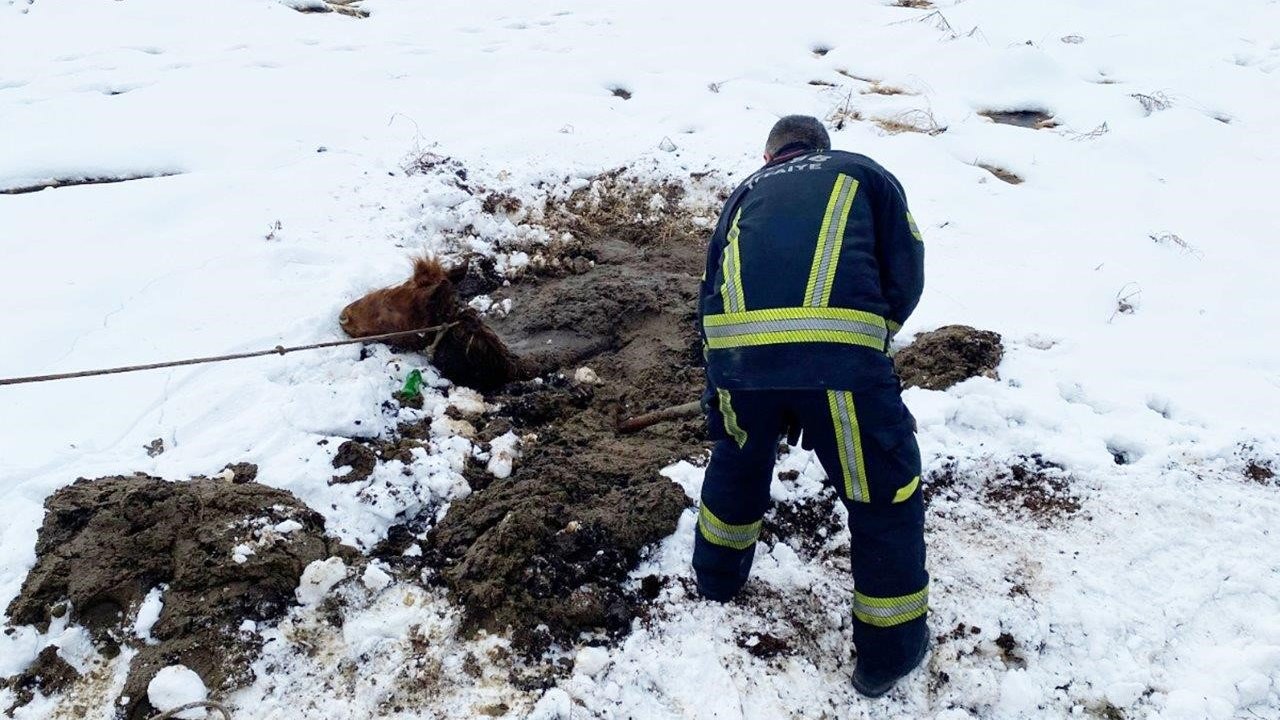 Kayseri OSB İtfaiyesi bataklığa saplanan yılkı atını kurtardı
