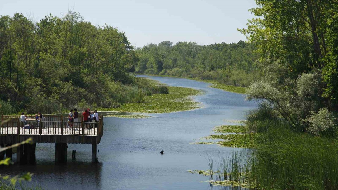 Sakarya’da ’Bu Şehir Hepimizin’ sloganıyla sosyal farkındalık kampanyası başlıyor