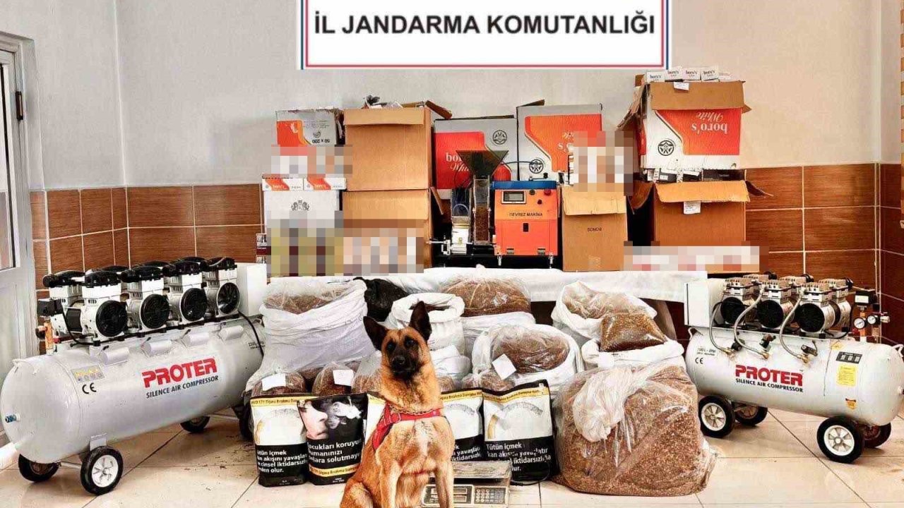 Tokat’ta kaçak tütün ve cep telefonu operasyonu: 3 gözaltı