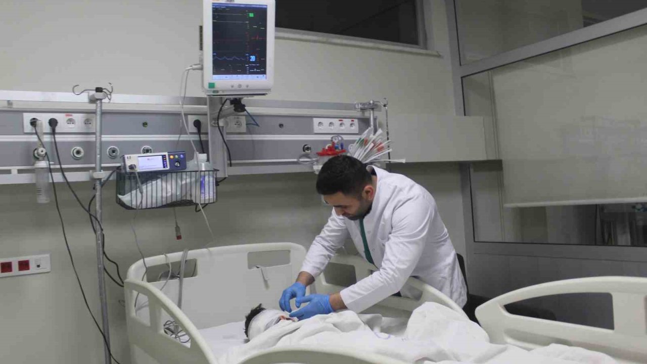 Adıyaman’da 4,5 yaşındaki çocuk 5 sokak köpeğinin saldırısında ağır yaralandı