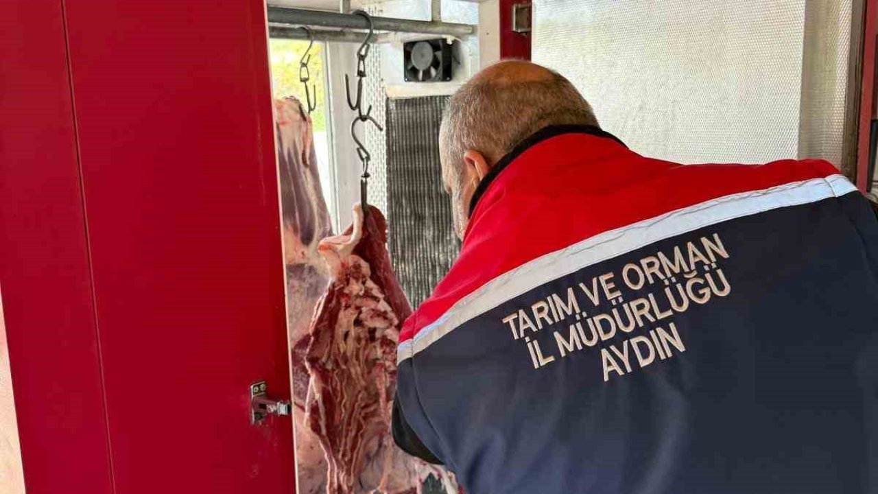 Koçarlı’daki kasaplar denetlendi