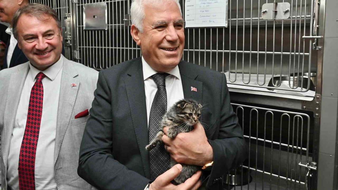 Büyükşehir’den can dostları için önemli proje