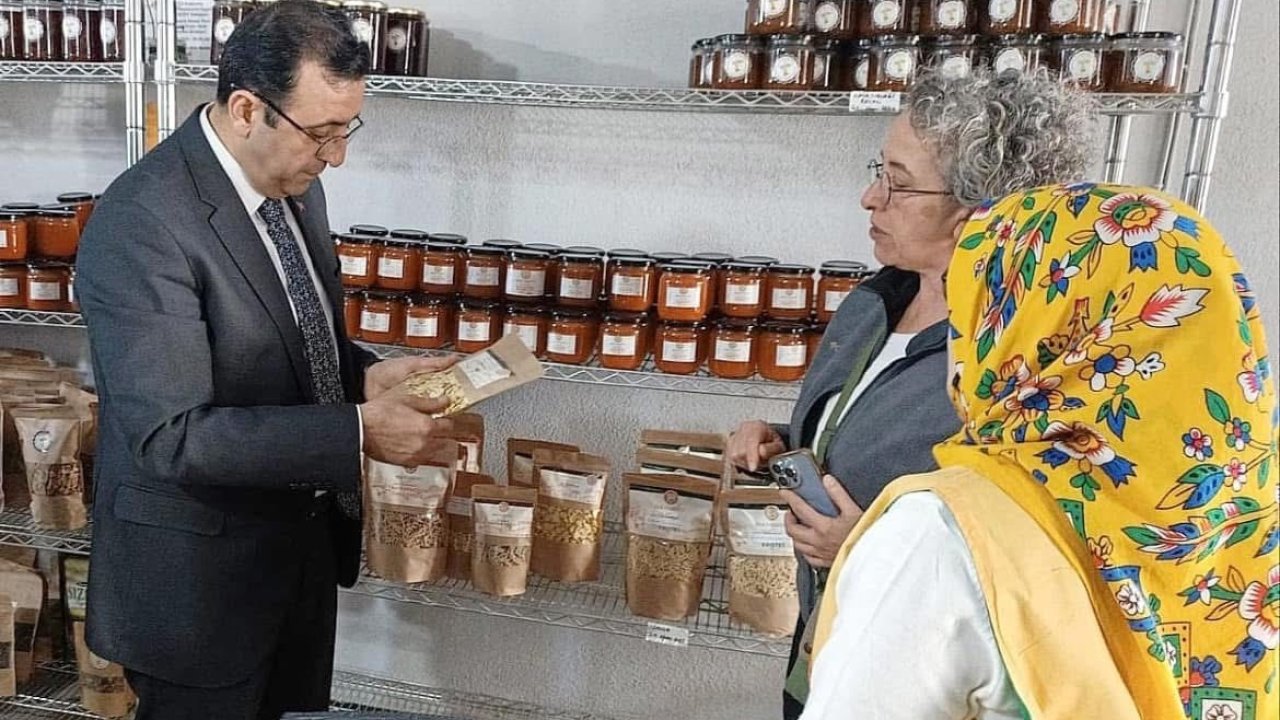 İl Tarım ve Orman Müdürü Ergün Demirhan, Ayvacık’ta incelemelerde bulundu