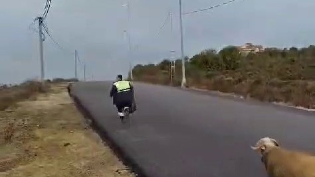 Beykoz’da koç, temizlik işçilerine zor anlar yaşattı