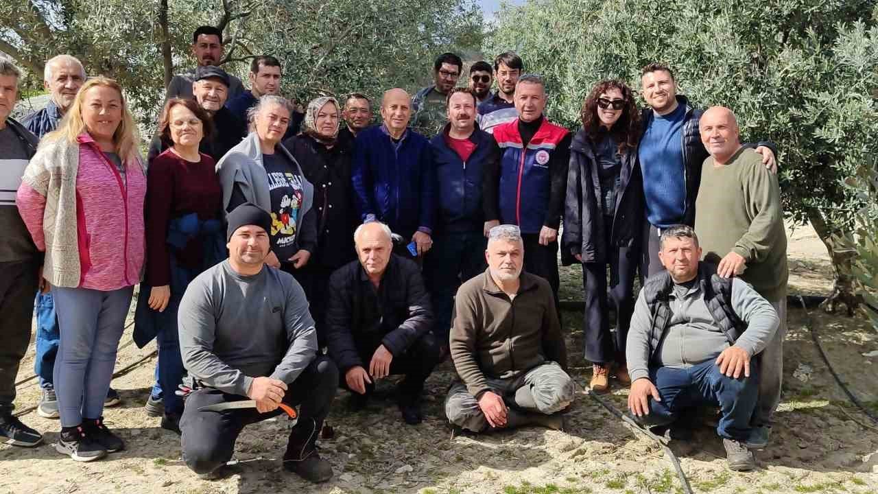 Didim’de zeytin budama kursu kursiyerlerine uygulamalı eğitim