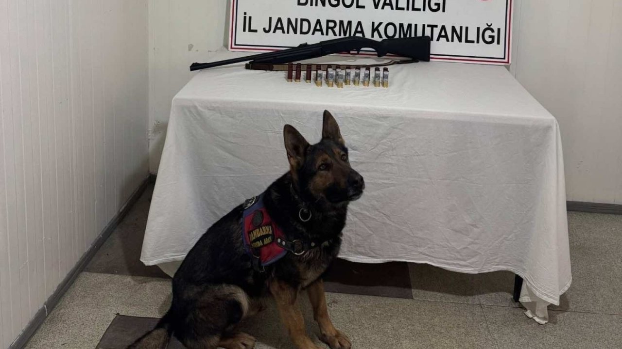 Bingöl’de 8 şüpheli yakalandı