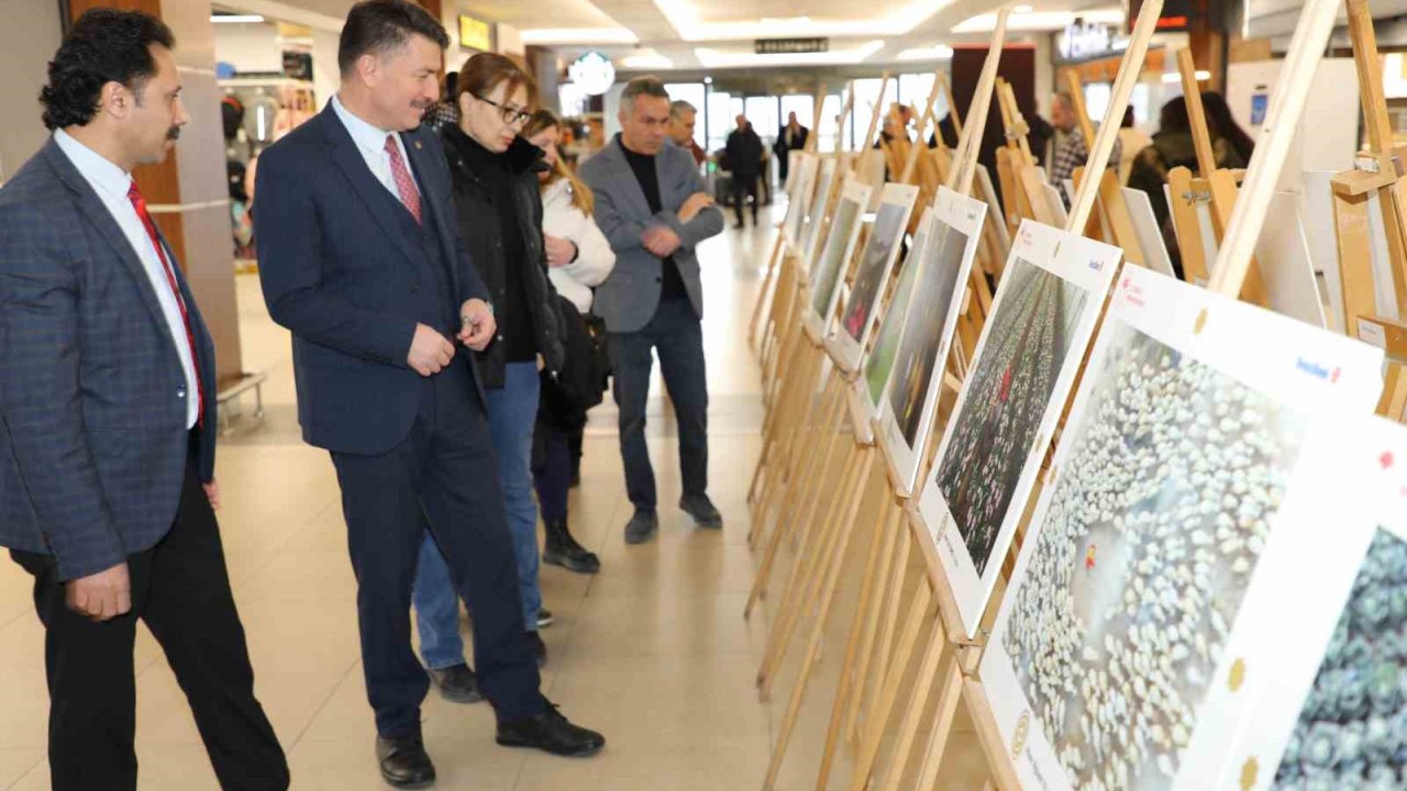 ’Tarım, Orman ve İnsan Fotoğraf Sergisi’ Eskişehir’de