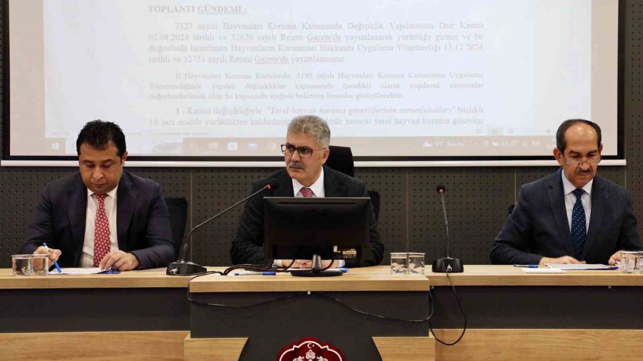 Niğde’de başıboş hayvanlar için doğal yaşam alanı oluşturulacak