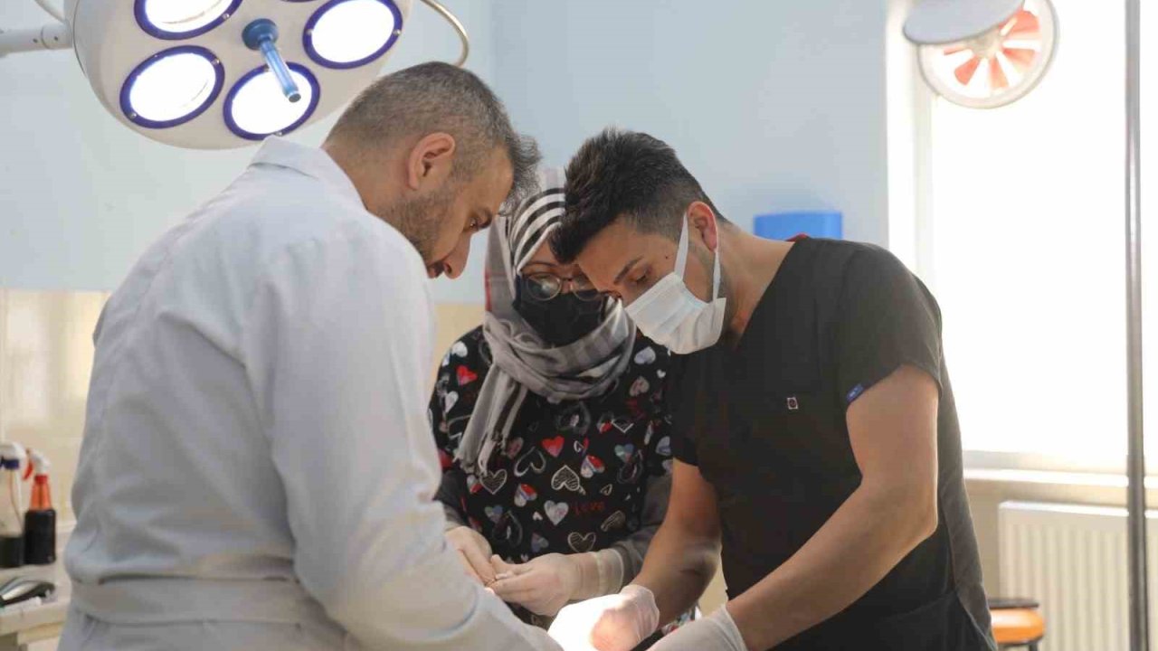 5 bacaklı dünyaya gelen kuzunun bir ayağı başarılı bir ameliyat ile alındı