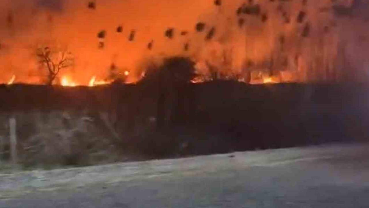 Köyceğiz’de sazlık yangını başladı