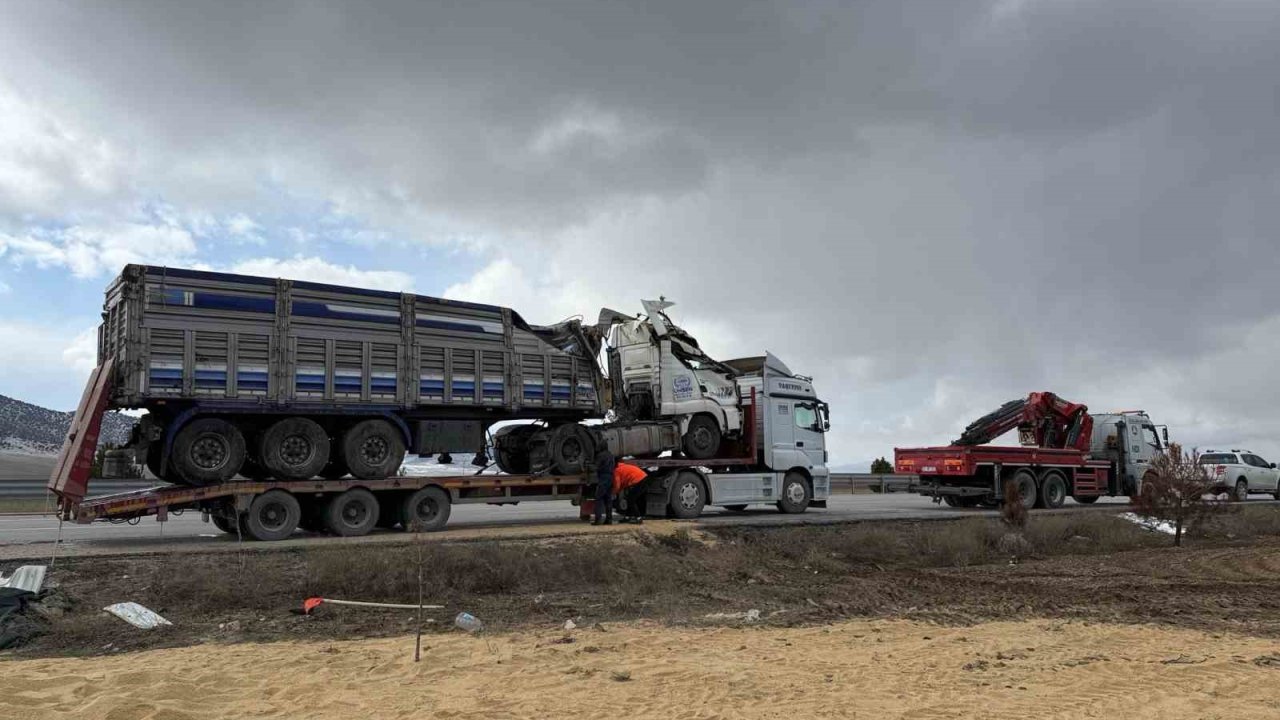 Devrilen tırda 25 ton büyükbaş hayvan yeni çevreye saçıldı