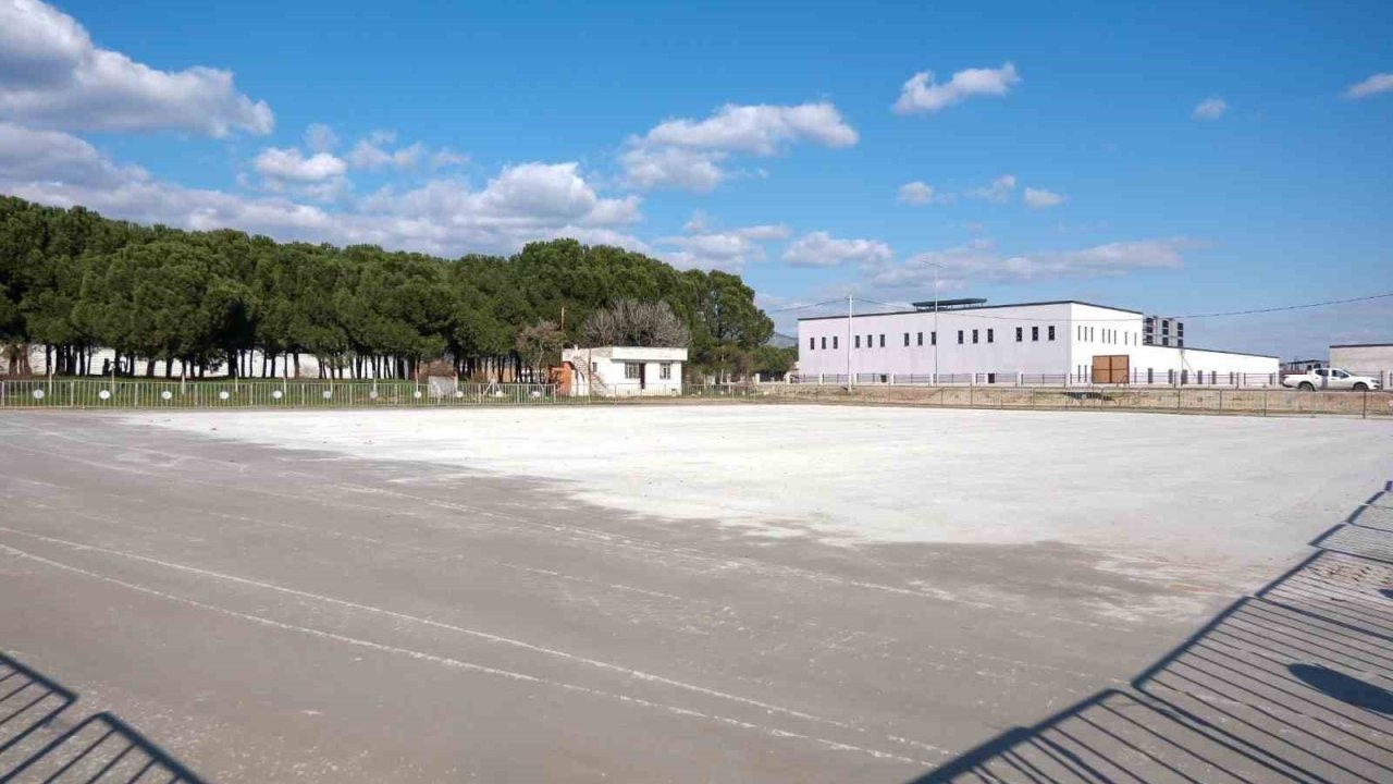 Efeler’deki deve güreşi için hazırlıklar sürüyor