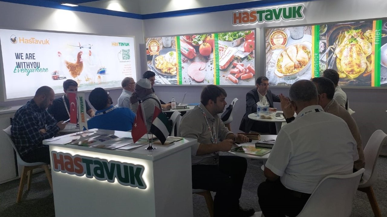 HasTavuk bir kez daha dünya arenasında