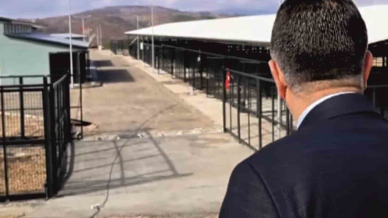 Bölgesel hayvan barınağı yakın zamanda hizmete başlayacak