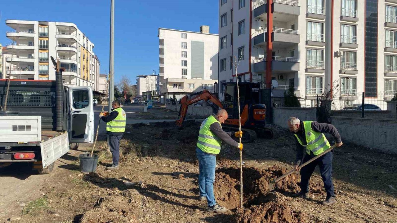 Kahta Belediyesi, ağaçlandırma çalışmalarına hızla devam ediyor
