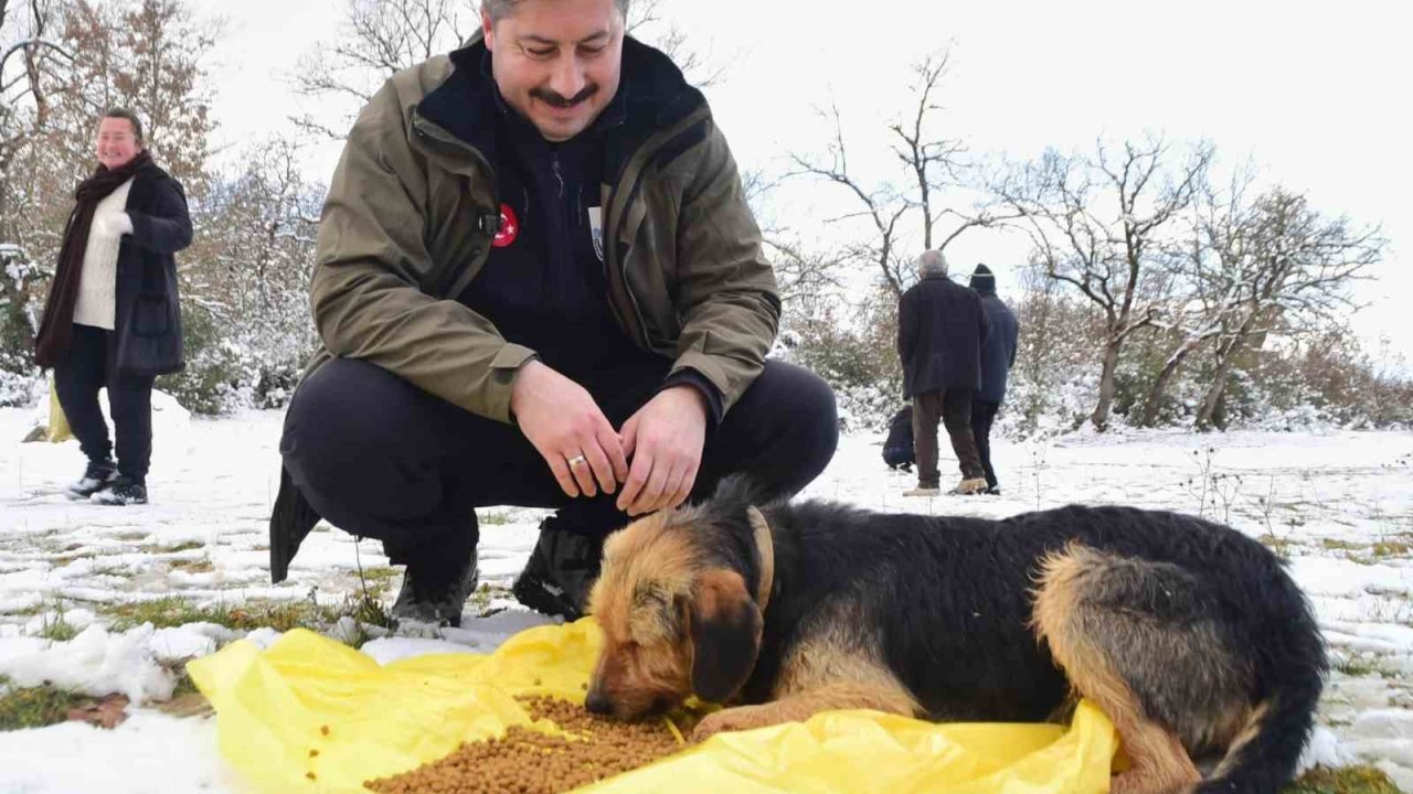 Yenişehir Belediyesi yaban hayvanlar ve kuşlar için beslenme noktaları oluşturdu