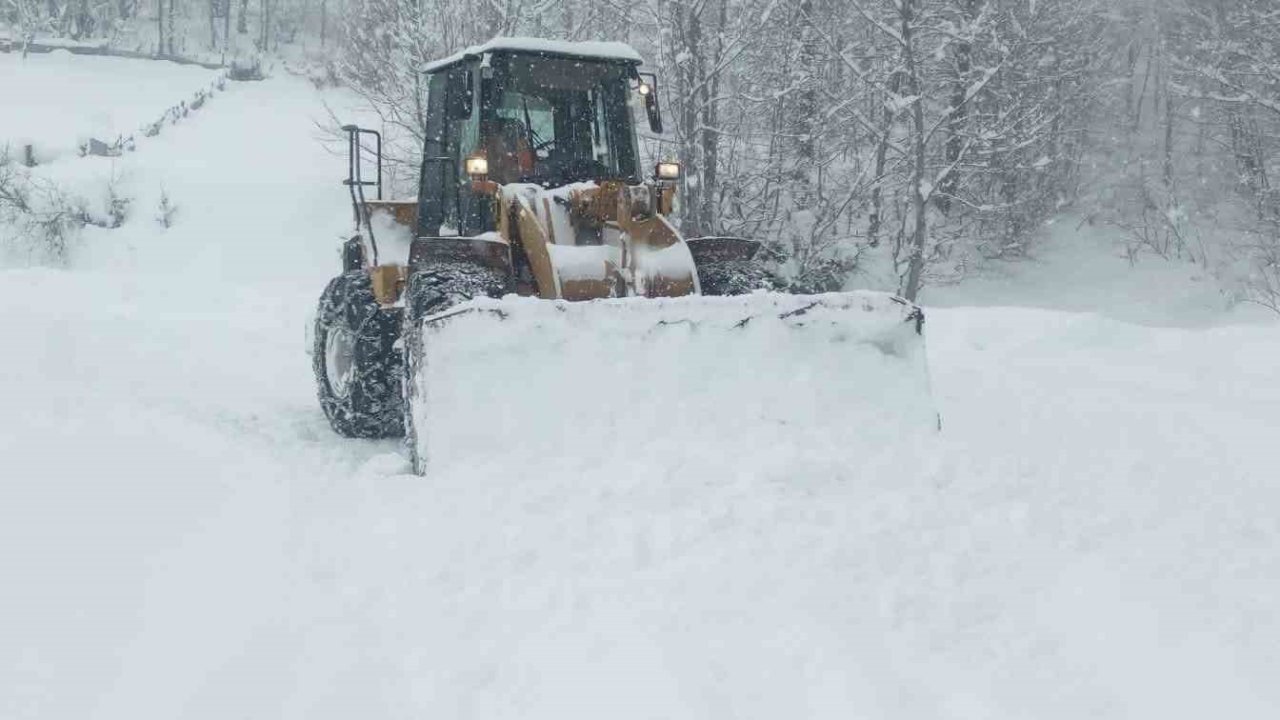 Ordu’da kara kış: Kapanan 633 mahalle yolundan 620’si açıldı