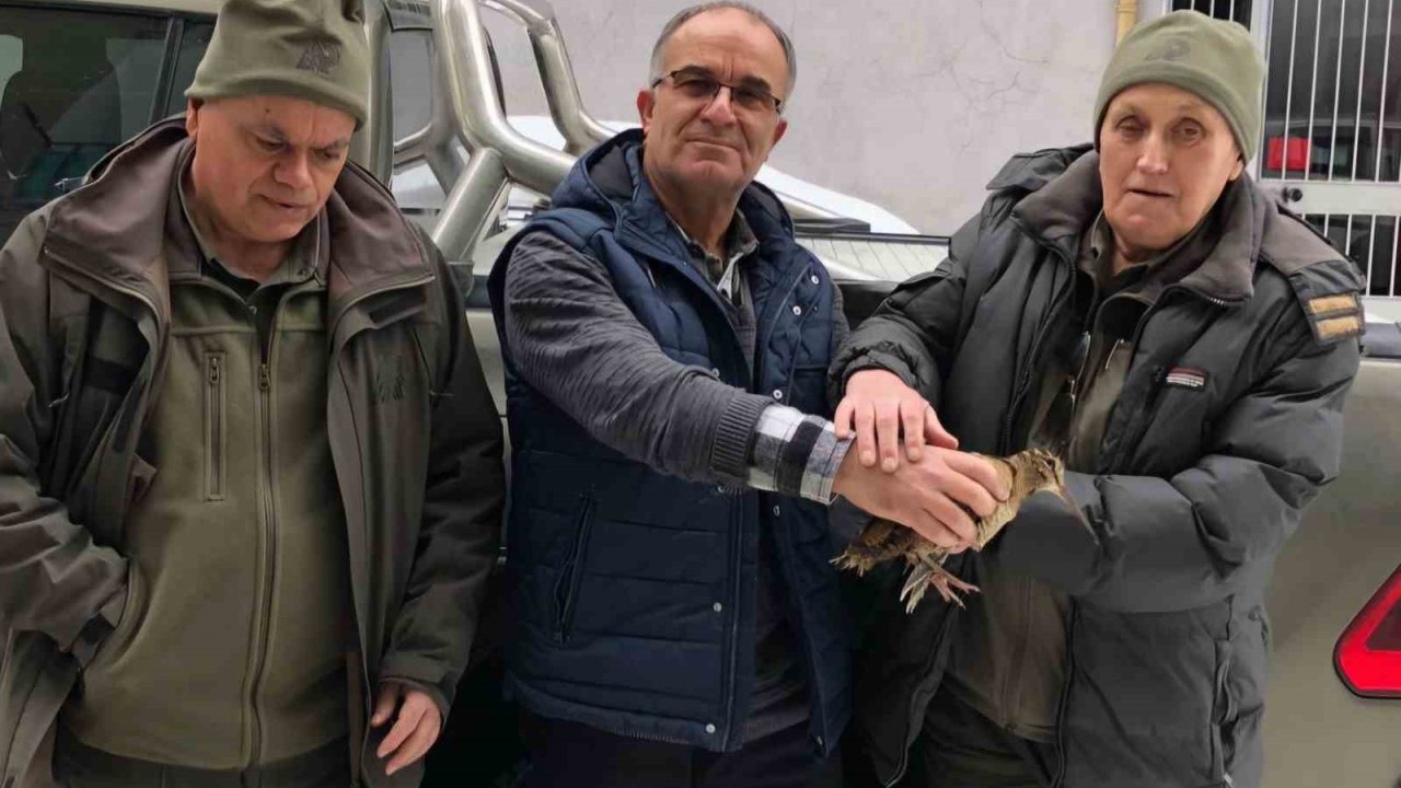 Emekli sağlıkçı karda aç kalan çulluğa sahip çıktı