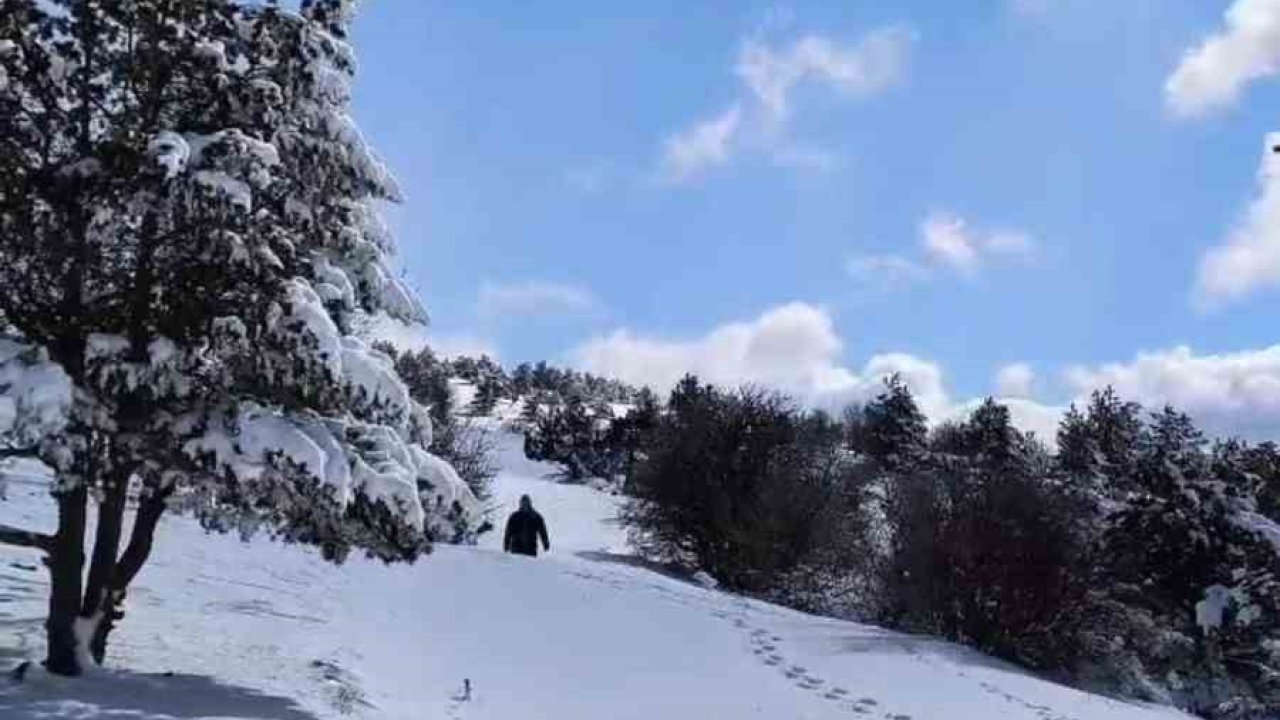 Soğuk kış aylarında Elmadağ esnafı yabani hayvanları unutmadı