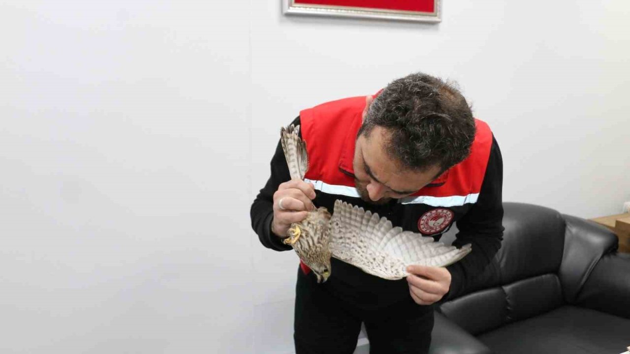 Erzincan’da ekipler, kerkenez için seferber oldu