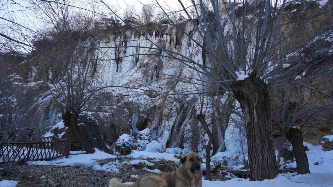 Buz tutan Girlevik Şelalesi’nde 2 metrelik buz sarkıtları oluştu