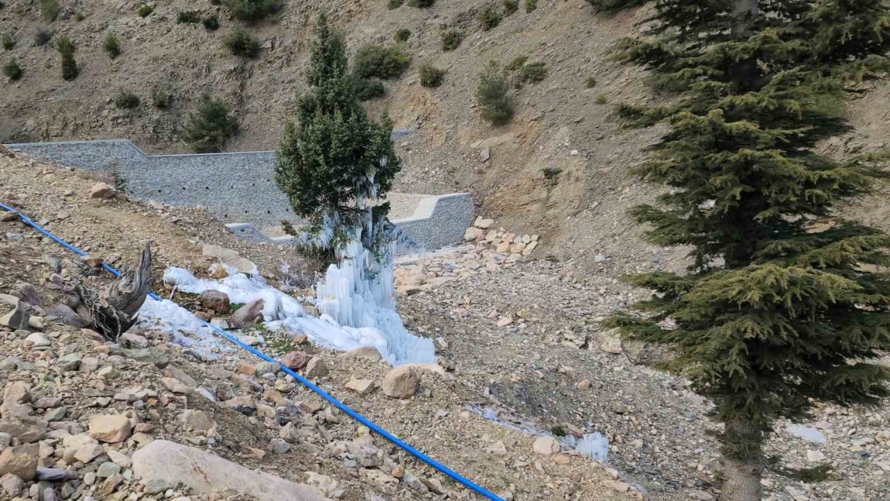 Borudan sızan suyla çam ağacı buzdan ağaca döndü