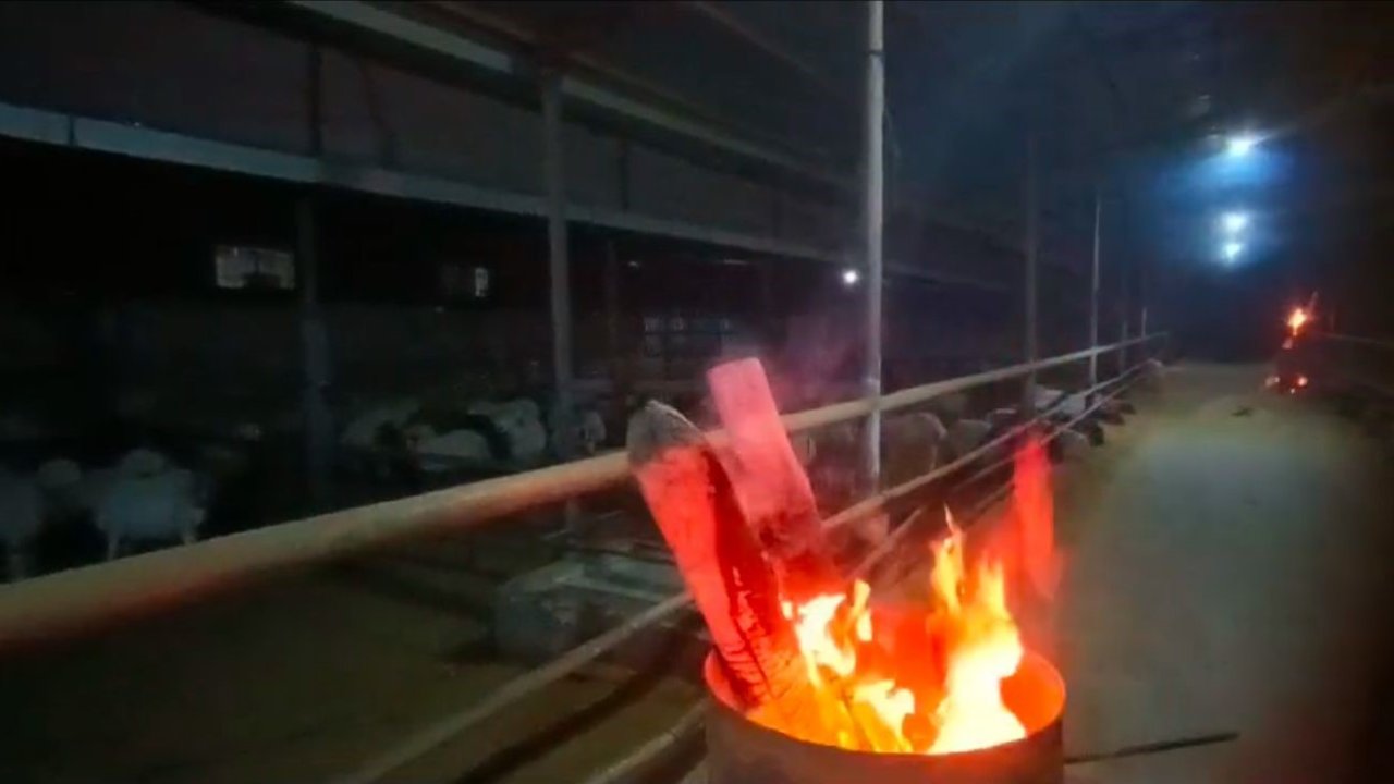 Hayvanlarını ısıtmak için ahırda ateş yaktı